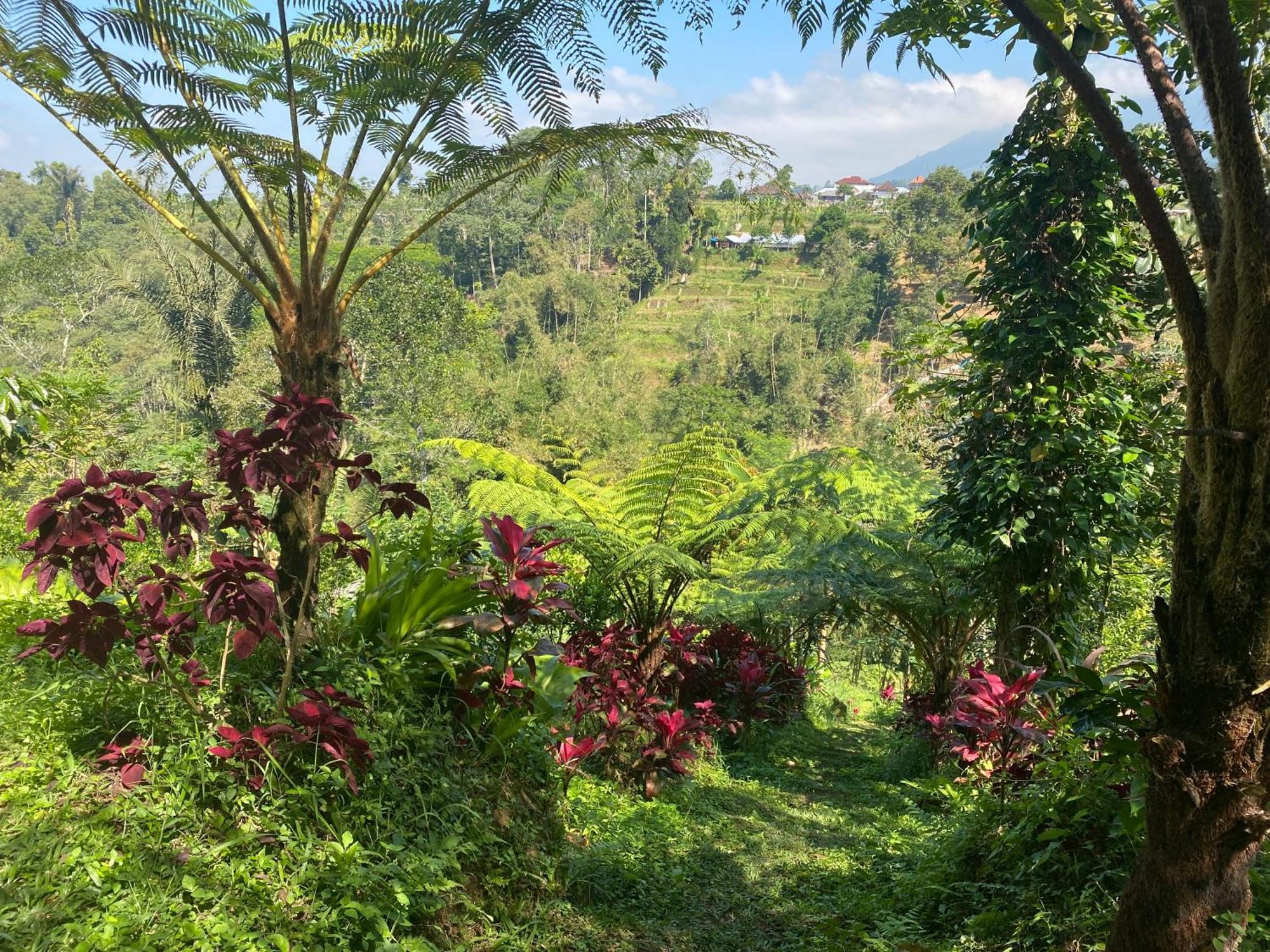 Lembah Cinta Mayungan Baturiti Dış mekan fotoğraf